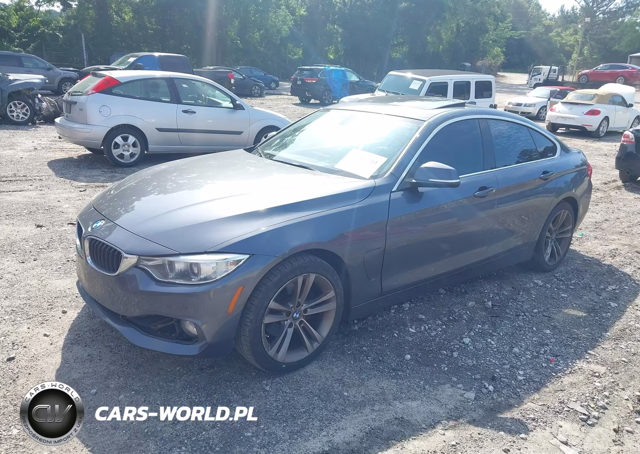 2016 BMW 428I Gran Coupe VIN:WBA4A9C55GG507419 - 2