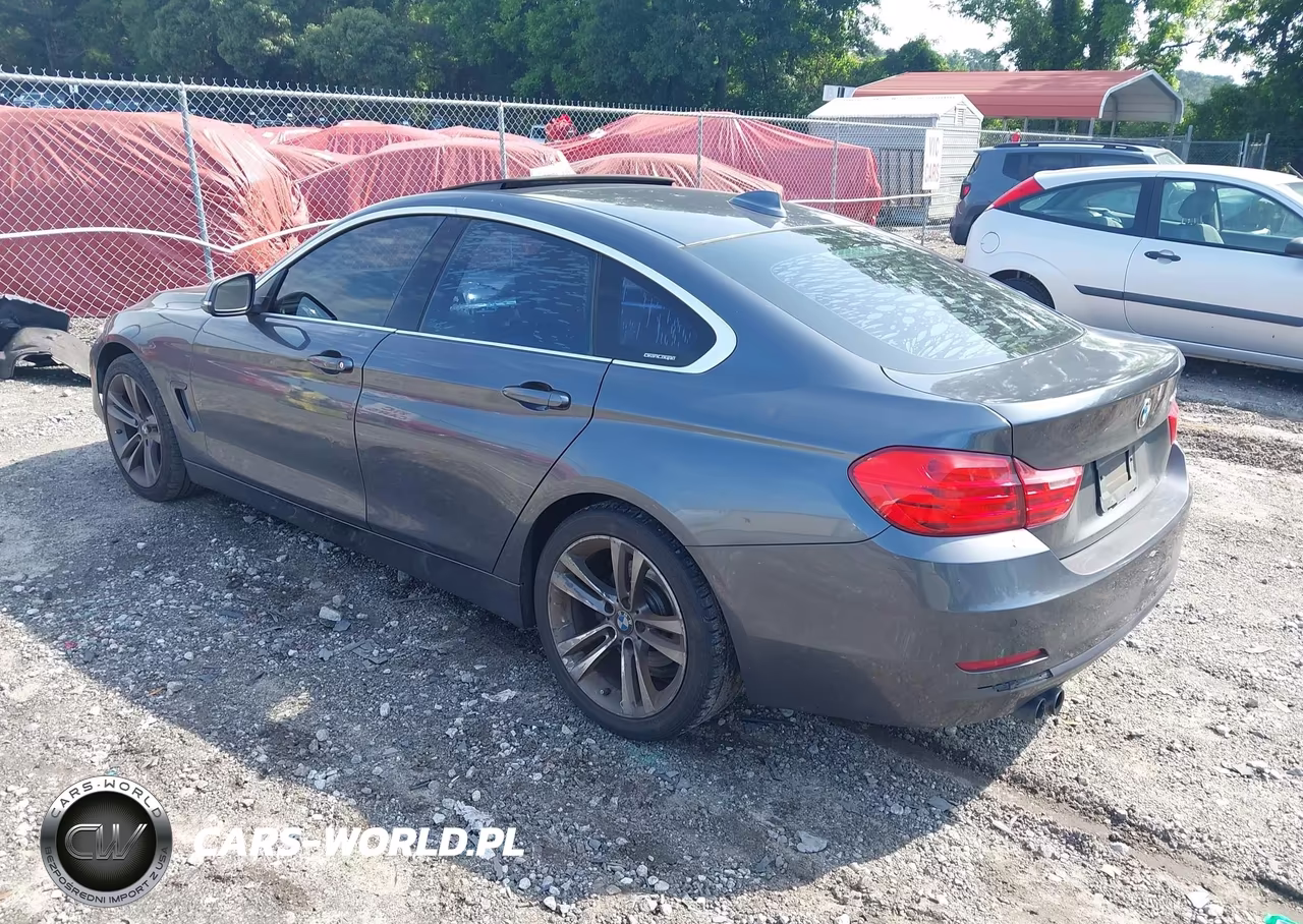 2016 BMW 428I Gran Coupe VIN:WBA4A9C55GG507419 - 3