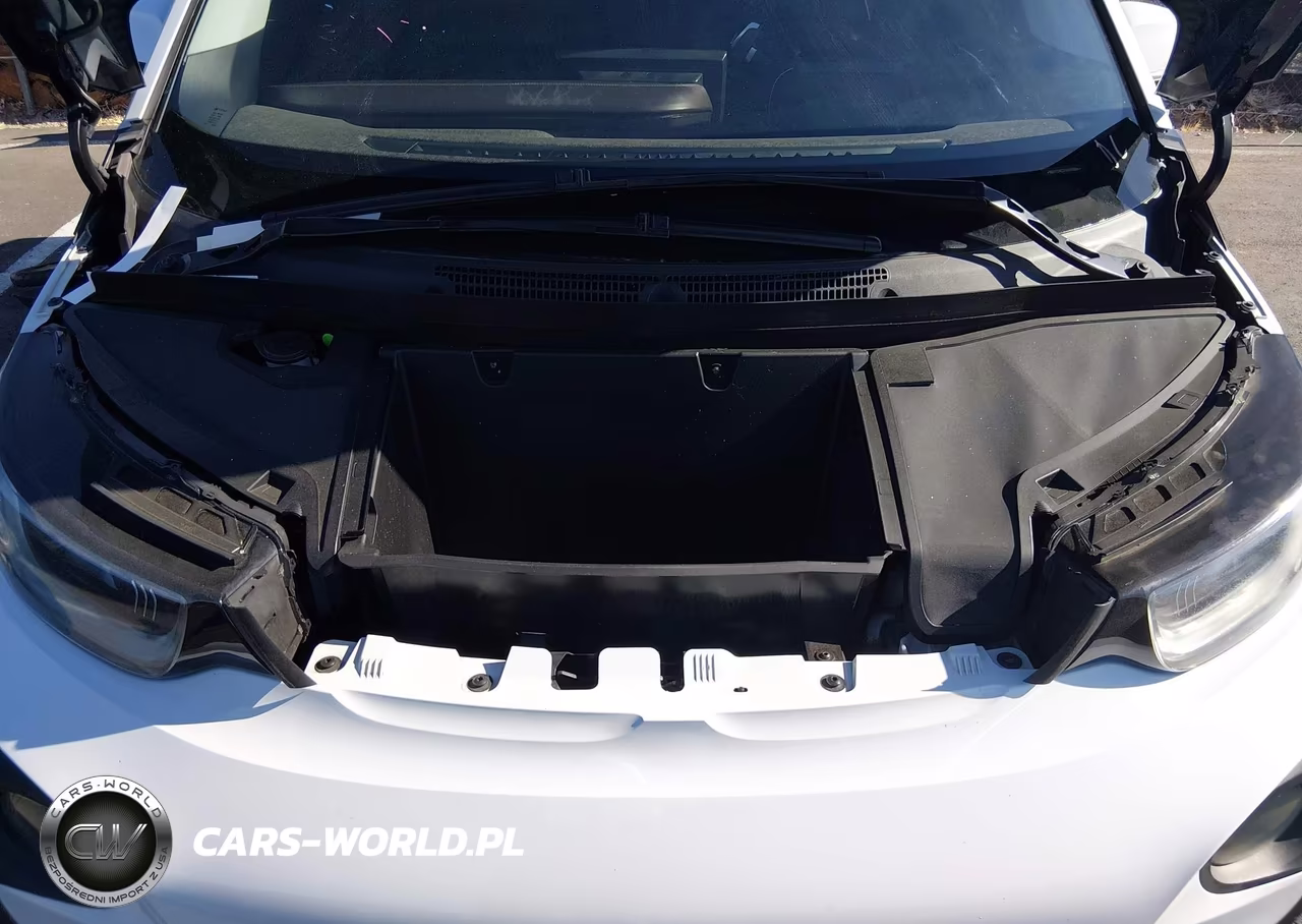 2014 BMW I3 Base W-Range Extender VIN:WBY1Z4C51EV276284 - 10