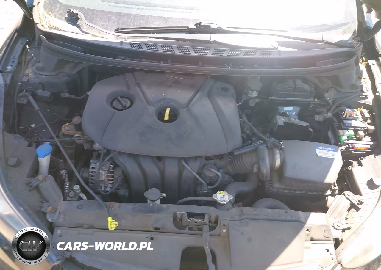 2013 Hyundai Elantra Gls VIN:KMHDH4AE4DU656630 - 10