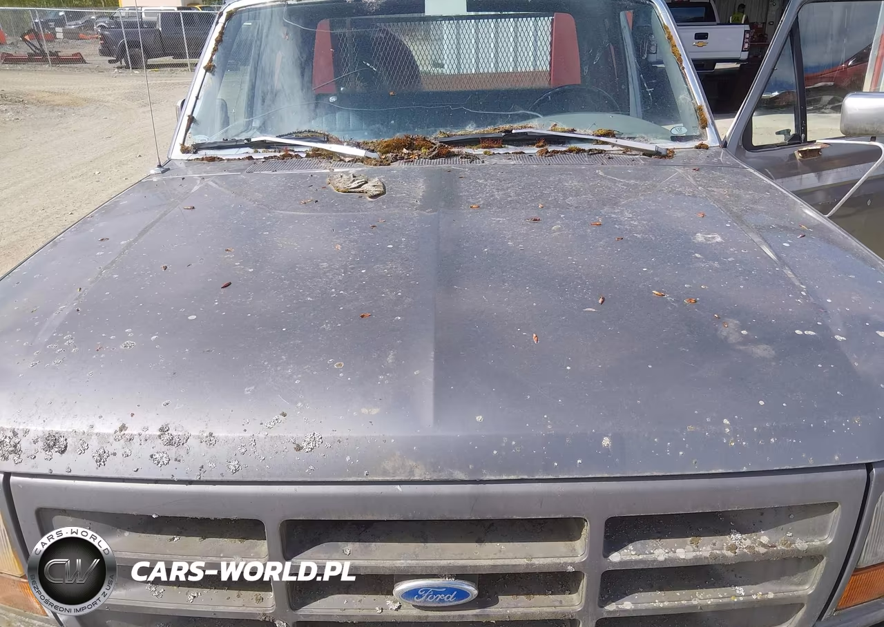 1994 Ford F250 VIN:1FTHX26H1RKA90607 - 10