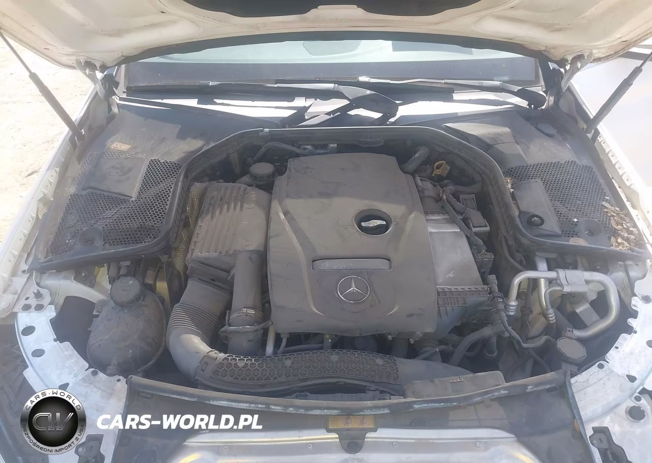 2016 Mercedes-Benz C 300 VIN:55SWF4JB6GU105166 - 10