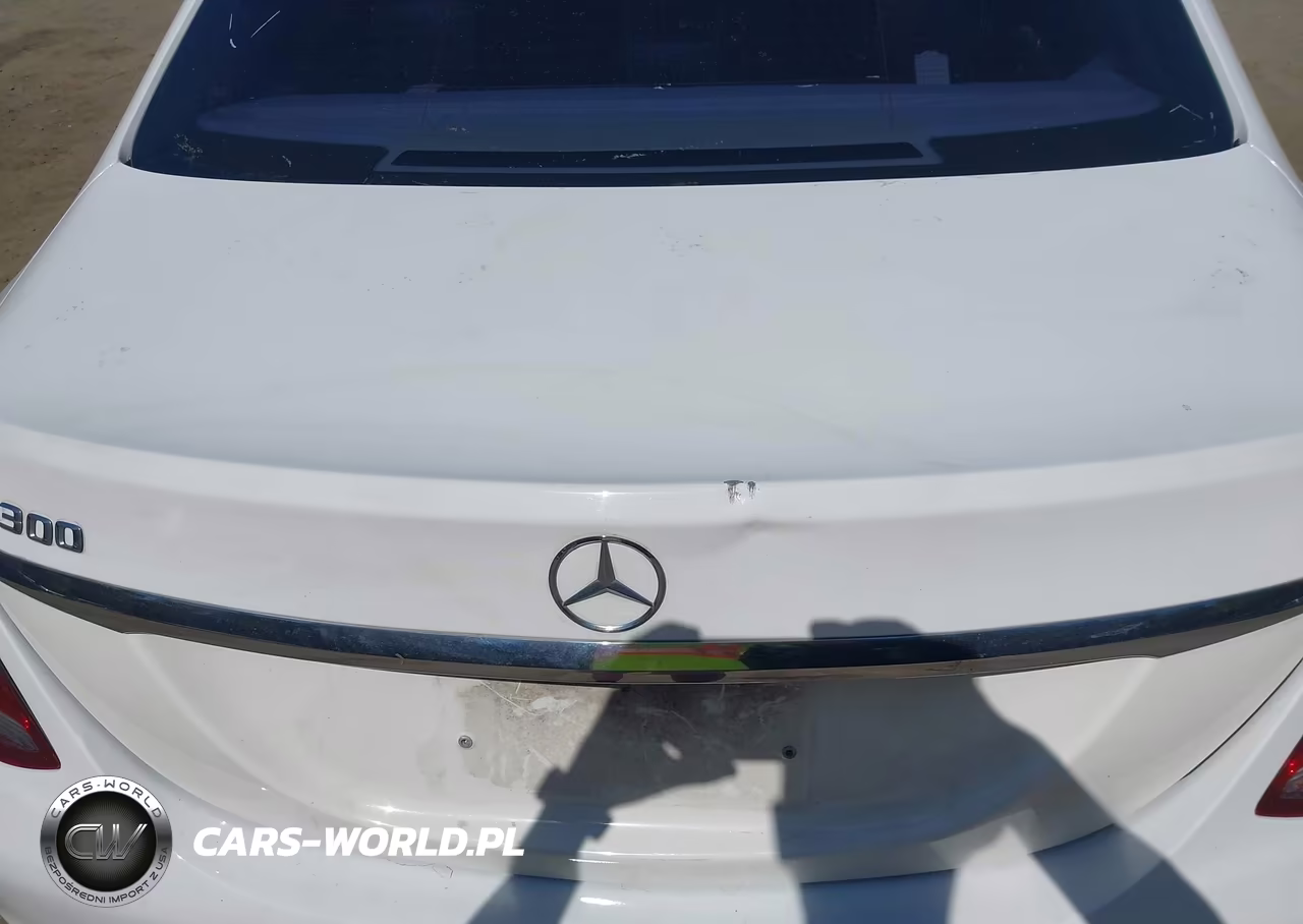 2016 Mercedes-Benz C 300 VIN:55SWF4JB6GU105166 - 17
