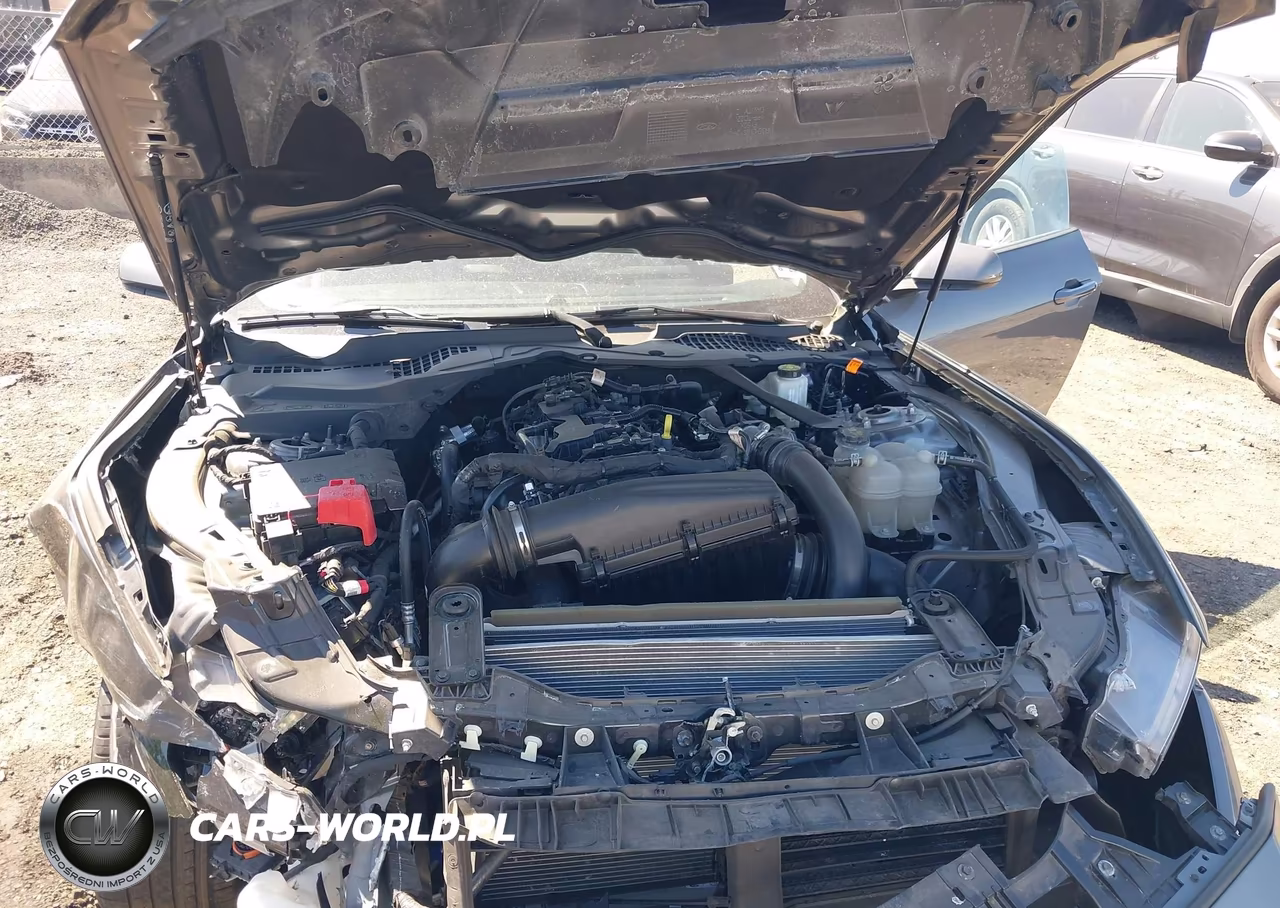 2024 Ford Mustang Ecoboost Premium VIN:1FAGP8UH4R5122908 - 10
