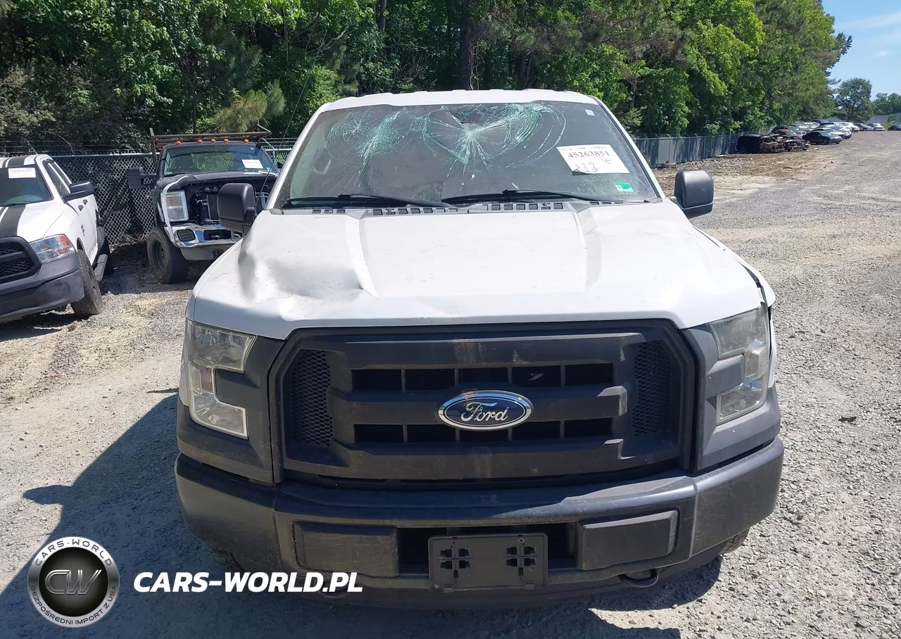 2016 Ford F-150 Xl VIN:1FTEX1EP6GFB61473 - 12