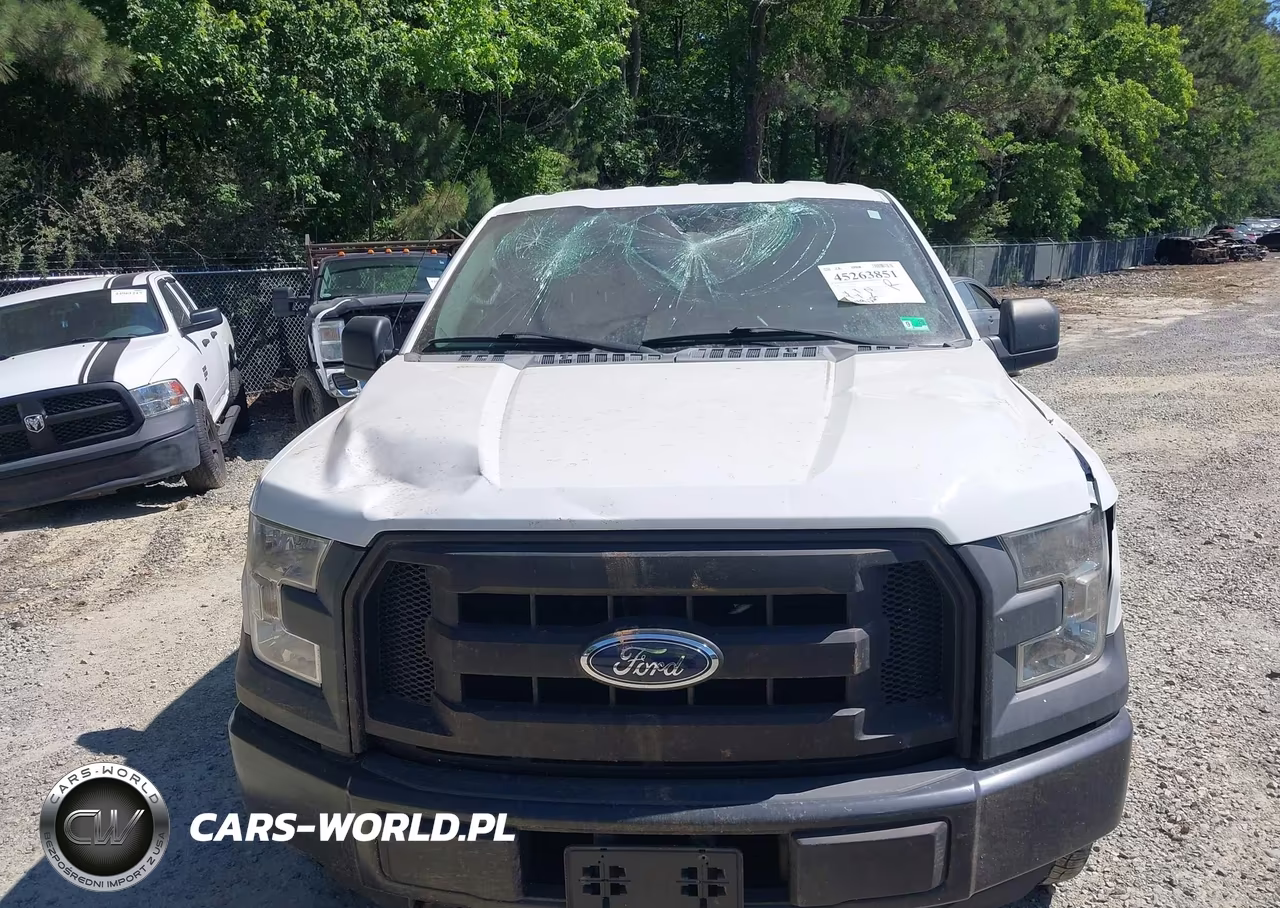 2016 Ford F-150 Xl VIN:1FTEX1EP6GFB61473 - 6