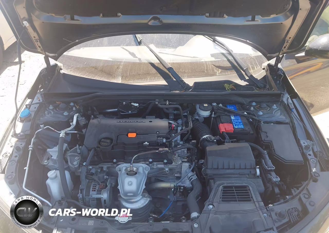 2024 Honda Civic Sport VIN:2HGFE2F51RH529509 - 10