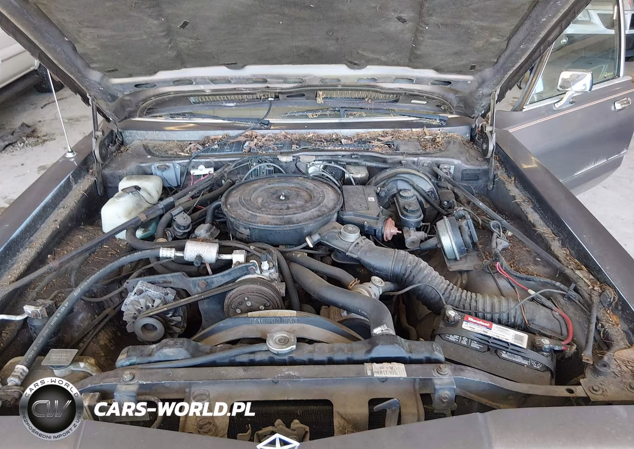 1988 Plymouth Gran Fury Caravelle VIN:1P3BB26P7JW126499 - 10