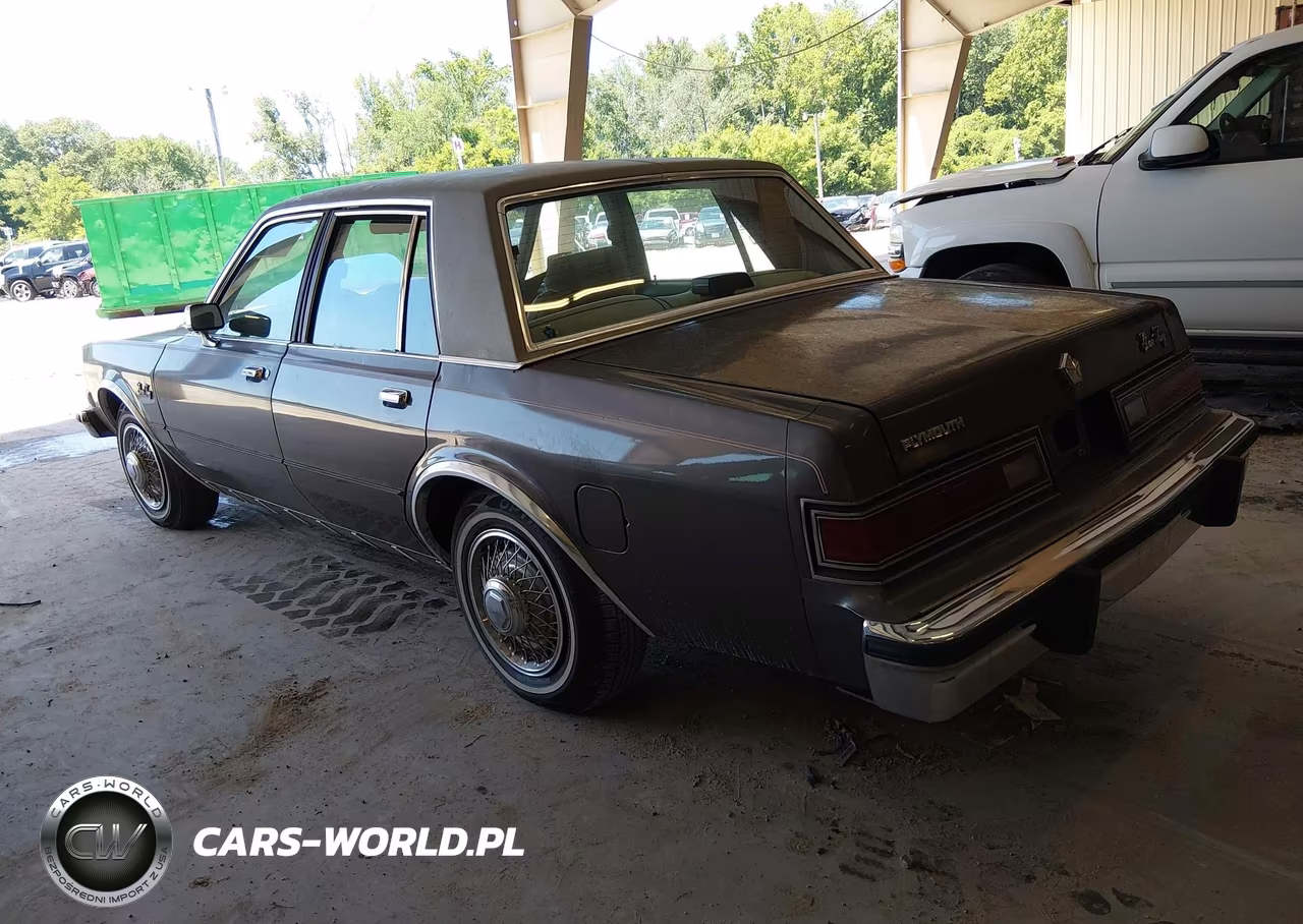 1988 Plymouth Gran Fury Caravelle VIN:1P3BB26P7JW126499 - 3