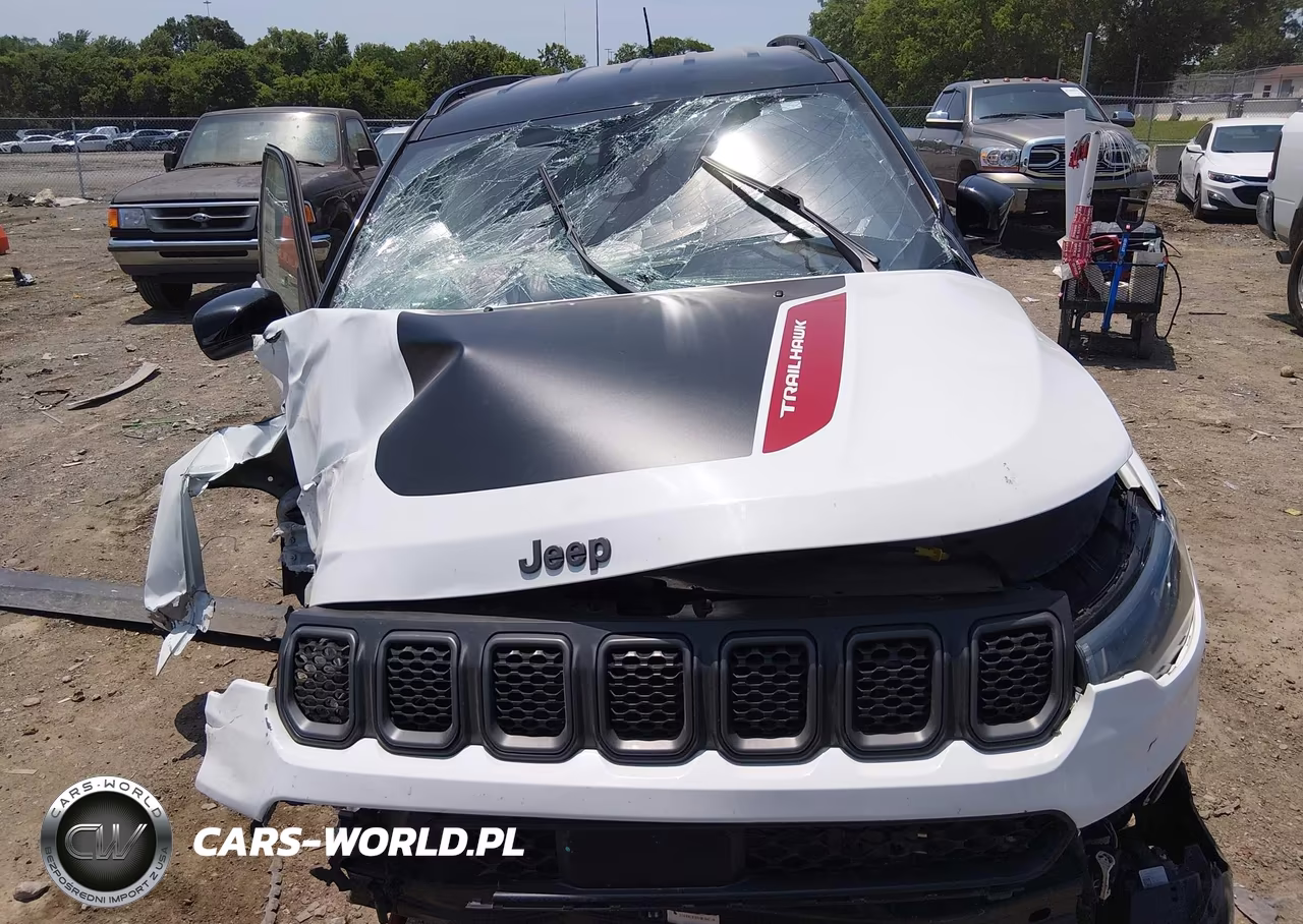 2023 Jeep Compass Trailhawk 4X4 VIN:3C4NJDDN7PT565259 - 11