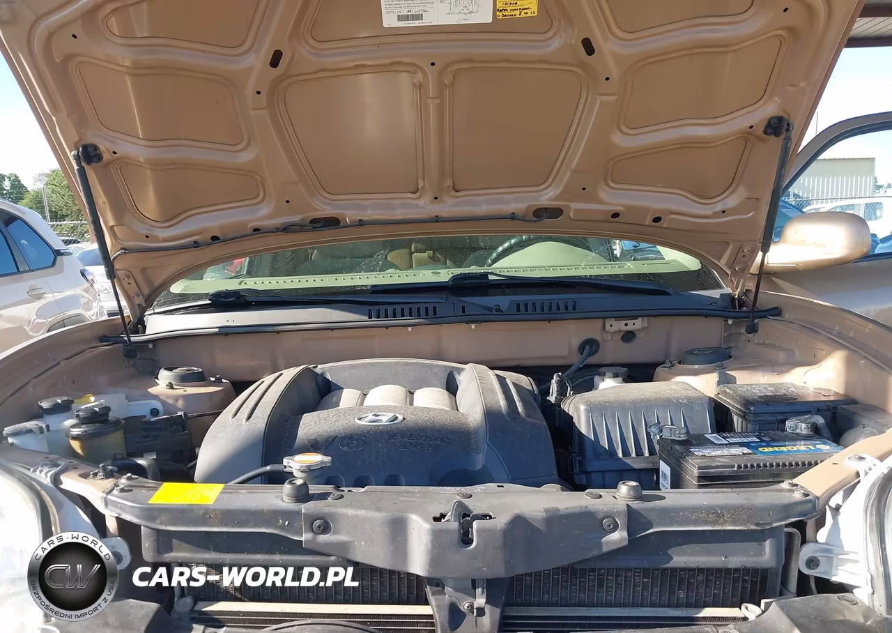 2003 Hyundai Santa Fe Gls-Lx VIN:KM8SC13D53U405283 - 10