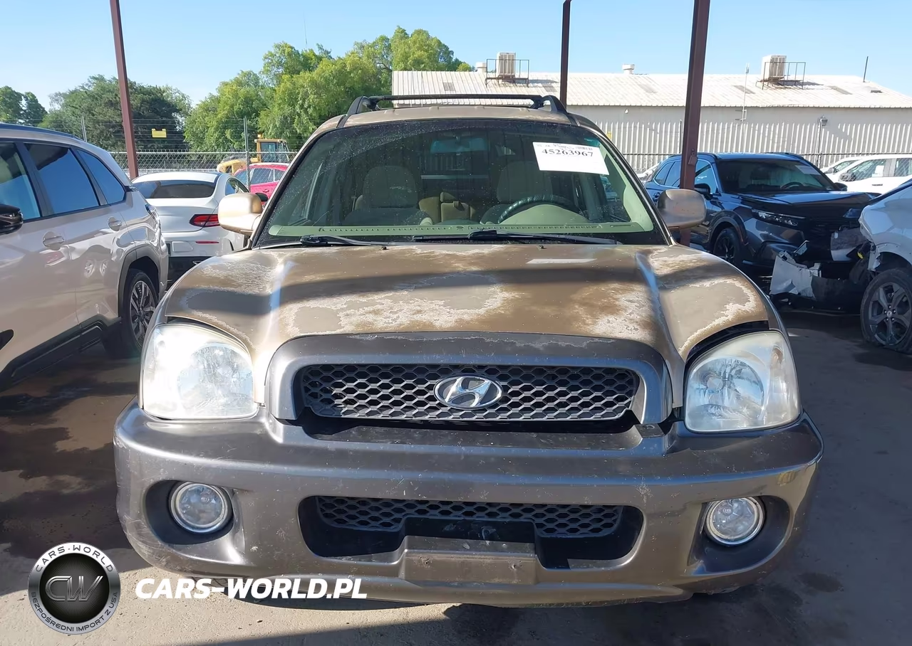 2003 Hyundai Santa Fe Gls-Lx VIN:KM8SC13D53U405283 - 12