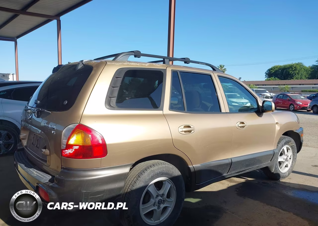 2003 Hyundai Santa Fe Gls-Lx VIN:KM8SC13D53U405283 - 13