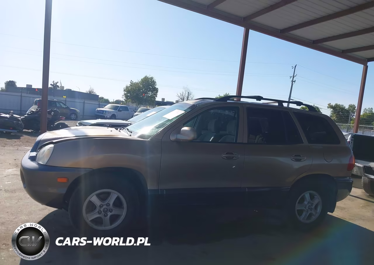 2003 Hyundai Santa Fe Gls-Lx VIN:KM8SC13D53U405283 - 14