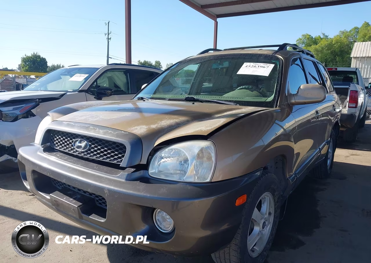 2003 Hyundai Santa Fe Gls-Lx VIN:KM8SC13D53U405283 - 2