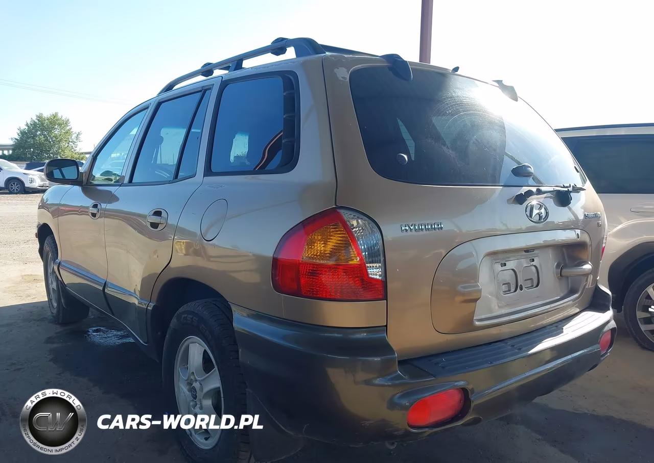 2003 Hyundai Santa Fe Gls-Lx VIN:KM8SC13D53U405283 - 3