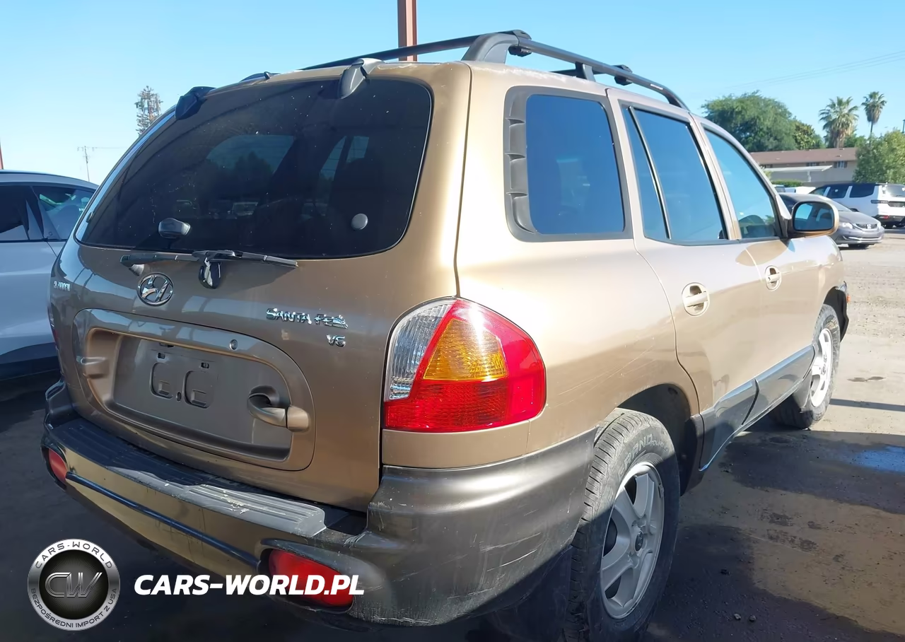 2003 Hyundai Santa Fe Gls-Lx VIN:KM8SC13D53U405283 - 4