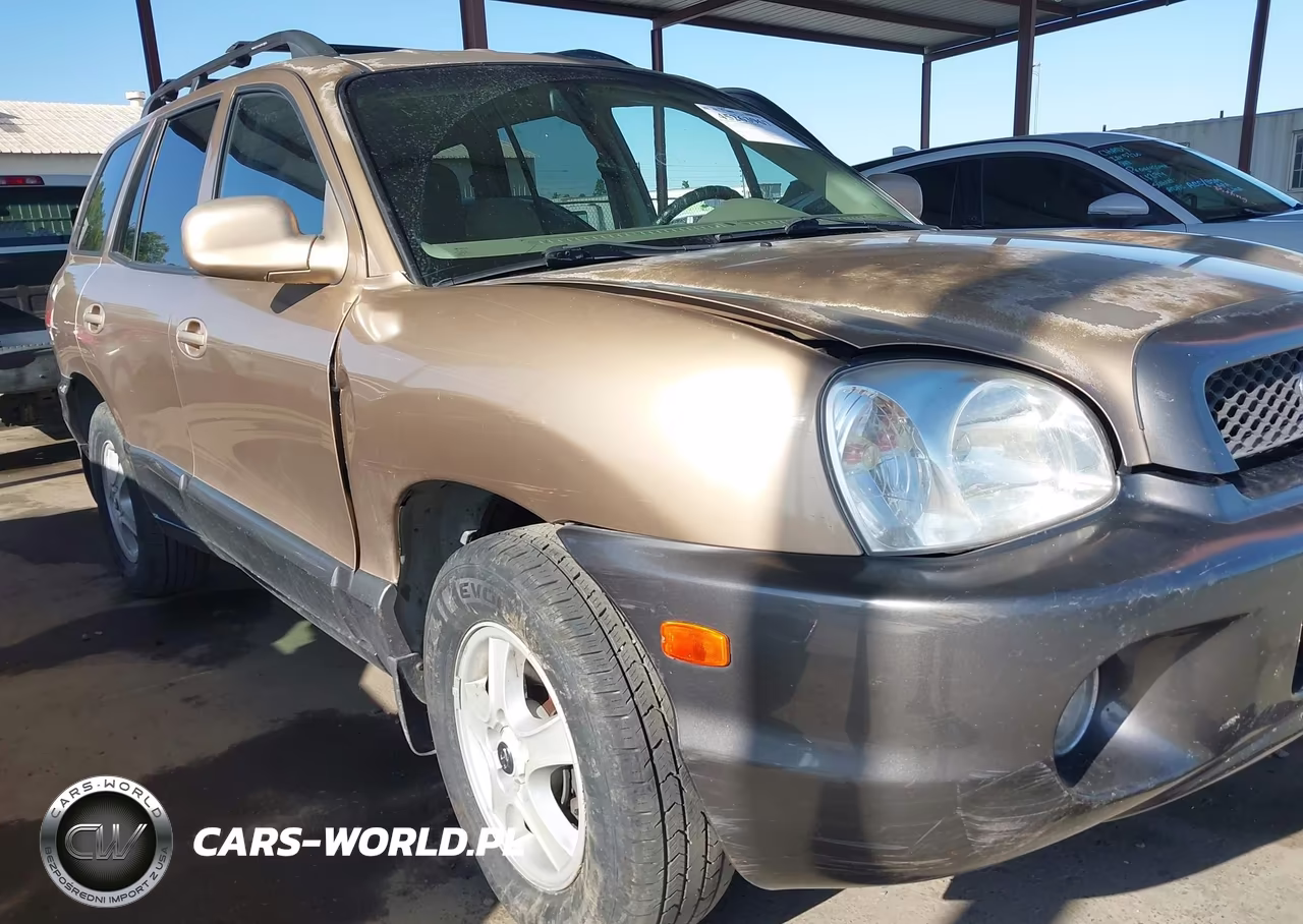 2003 Hyundai Santa Fe Gls-Lx VIN:KM8SC13D53U405283 - 6