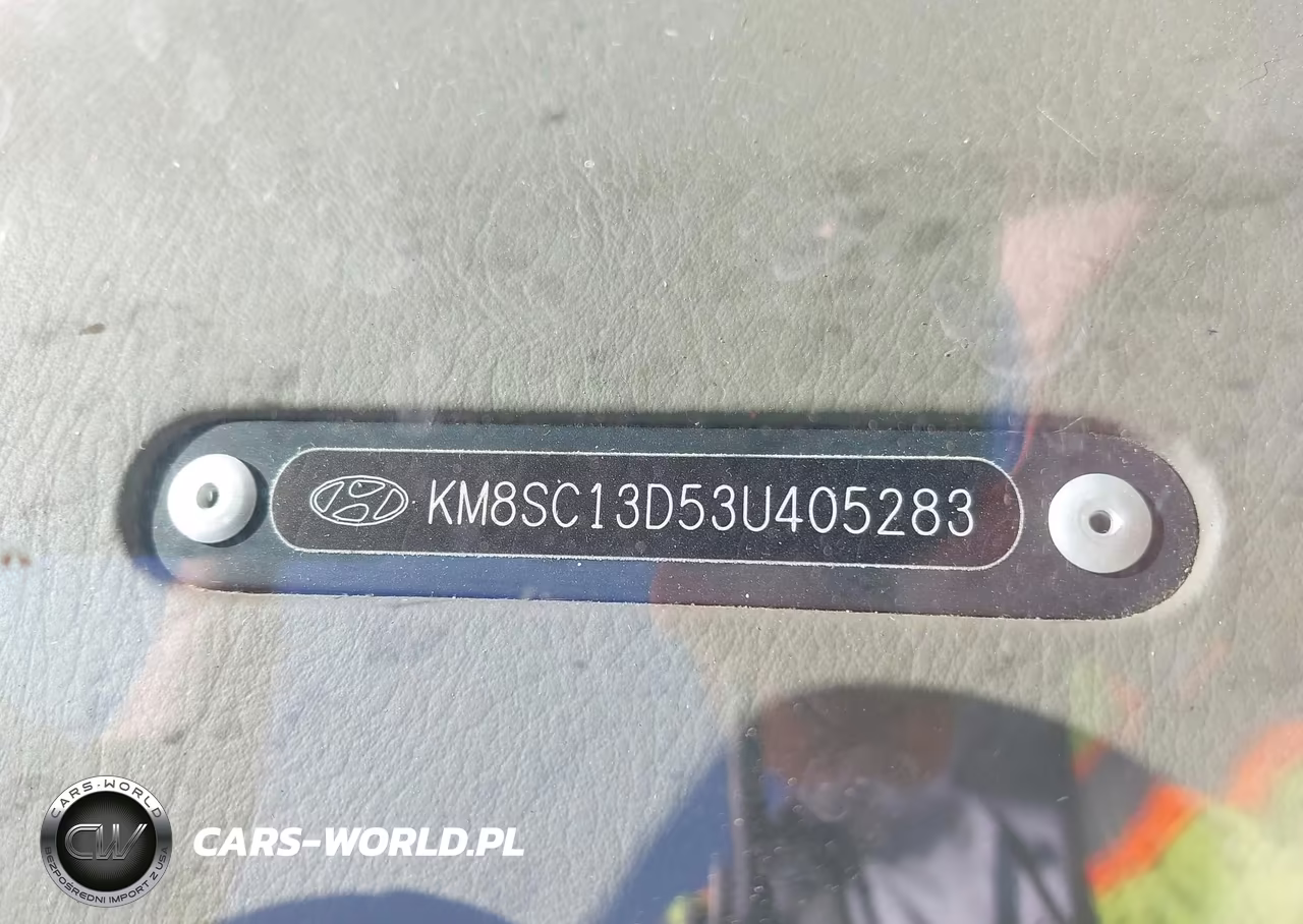 2003 Hyundai Santa Fe Gls-Lx VIN:KM8SC13D53U405283 - 9