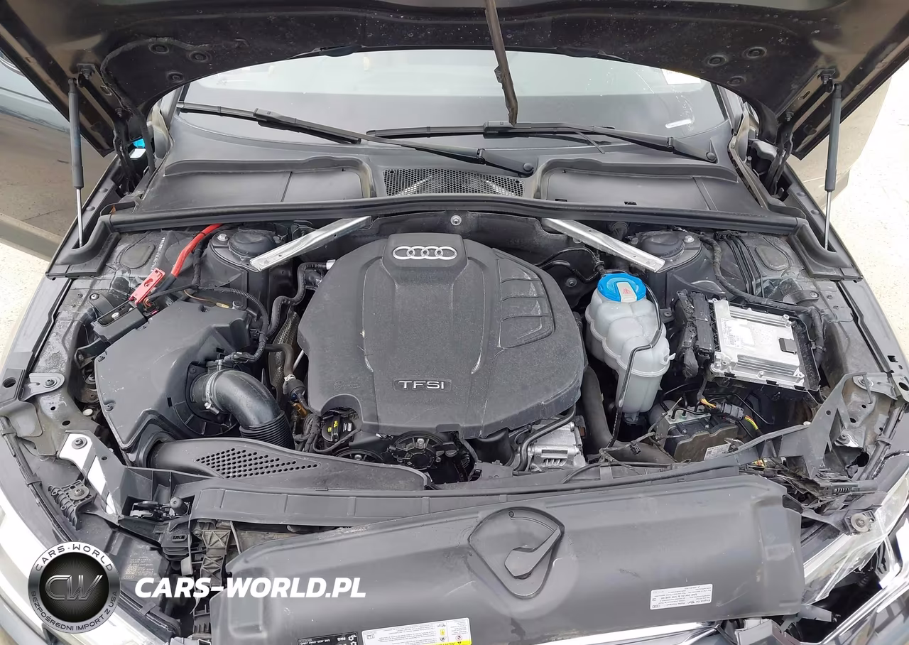2019 Audi A4 40 Premium VIN:WAUHMAF45KA021945 - 10