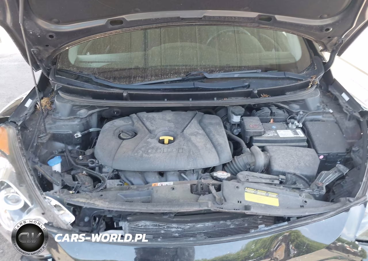 2016 Hyundai Elantra Gt VIN:KMHD35LH3GU294919 - 10