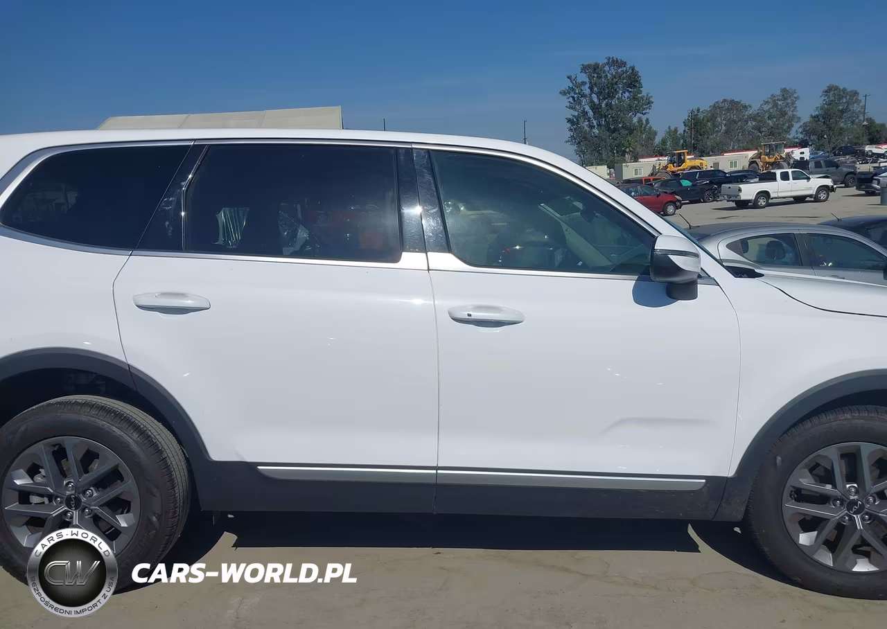 2025 Kia Telluride Lx VIN:5XYP24GC0SG565426 - 13