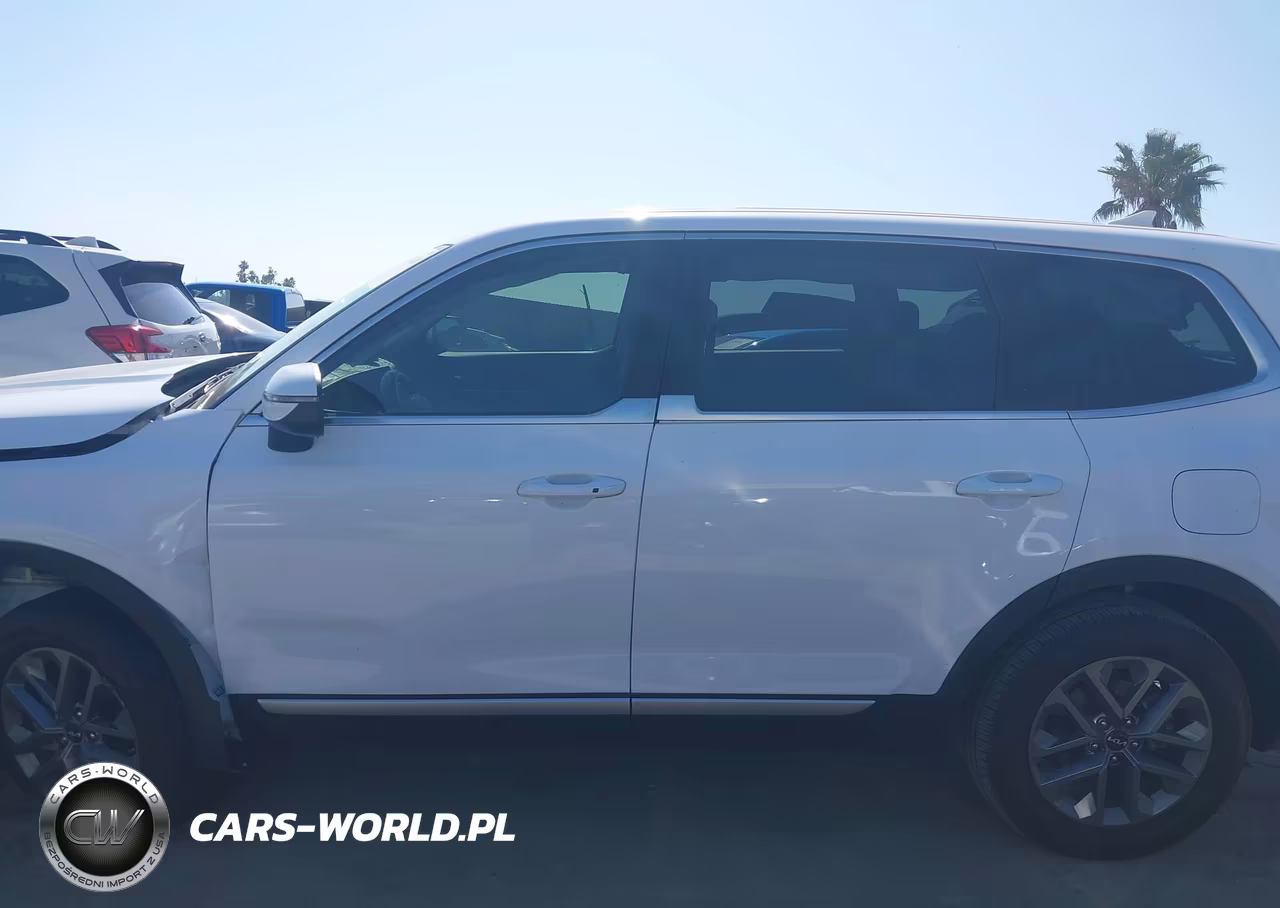 2025 Kia Telluride Lx VIN:5XYP24GC0SG565426 - 14