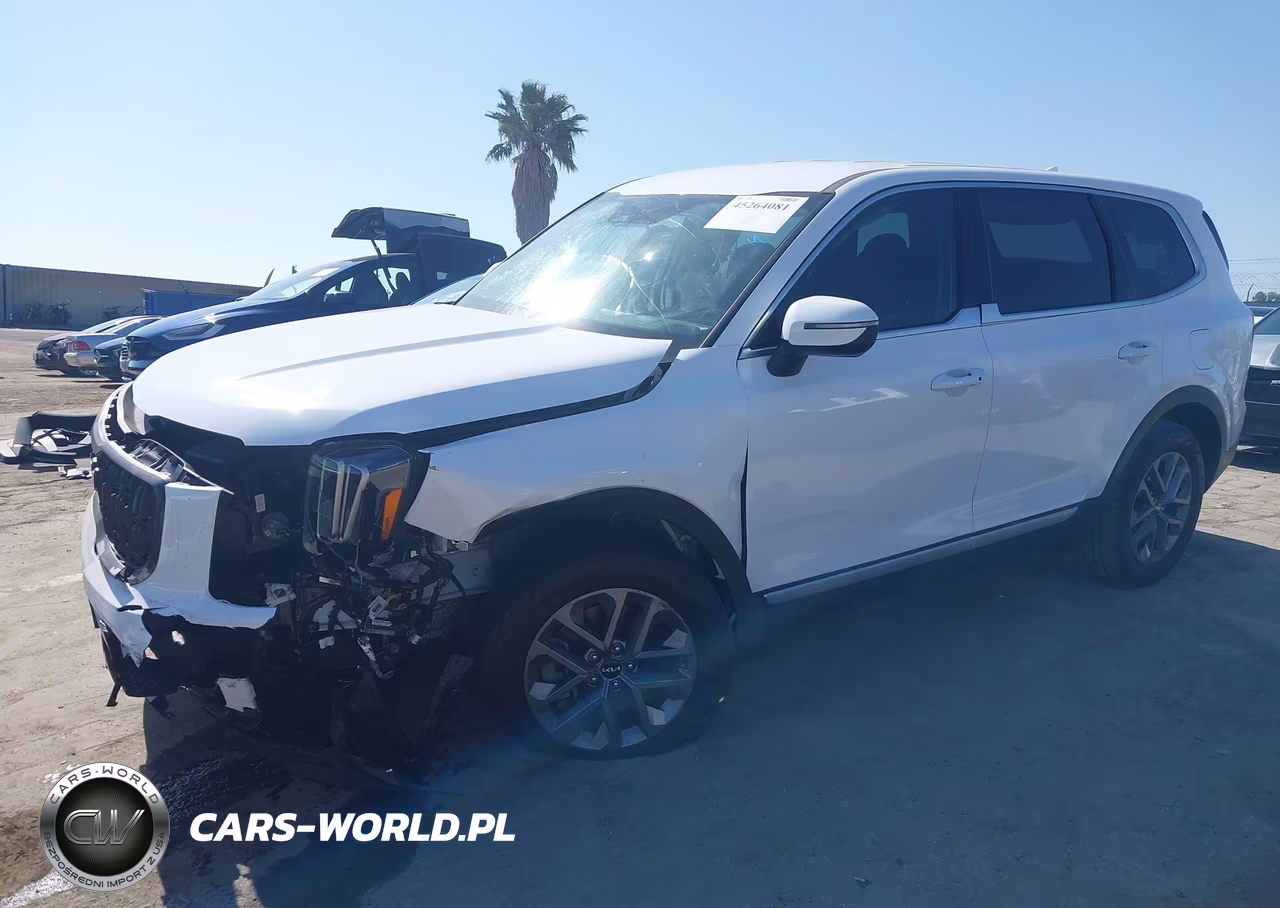 2025 Kia Telluride Lx VIN:5XYP24GC0SG565426 - 2