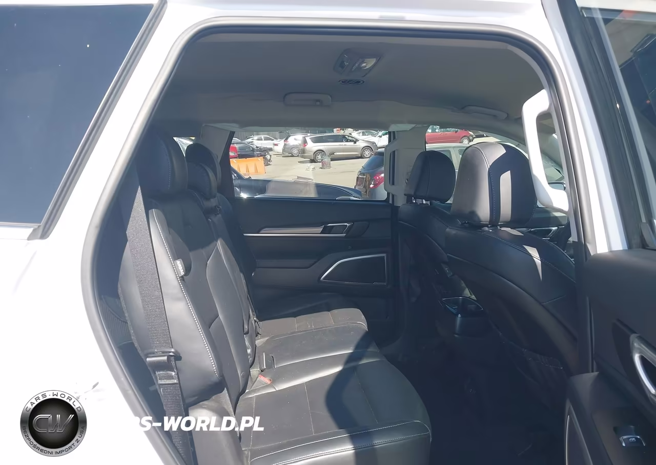 2025 Kia Telluride Lx VIN:5XYP24GC0SG565426 - 8