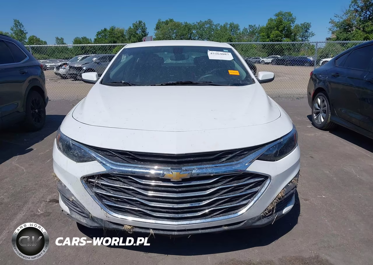 2019 Chevrolet Malibu Lt VIN:1G1ZD5ST8KF178795 - 12
