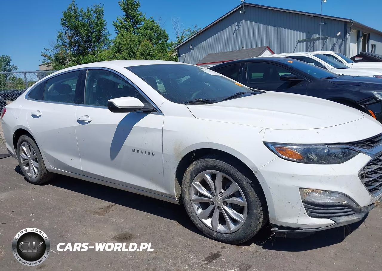 2019 Chevrolet Malibu Lt VIN:1G1ZD5ST8KF178795 - 13