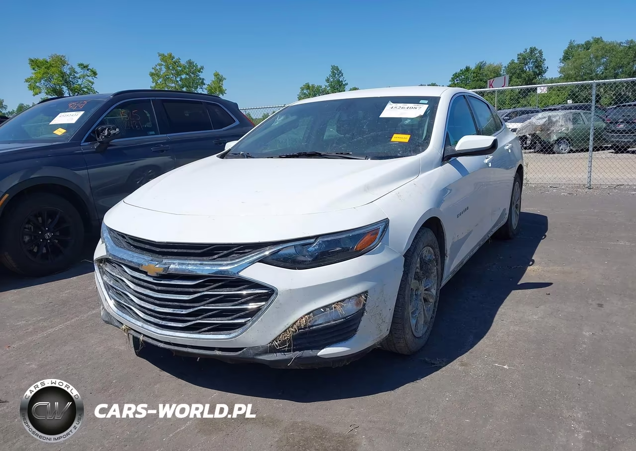 2019 Chevrolet Malibu Lt VIN:1G1ZD5ST8KF178795 - 2