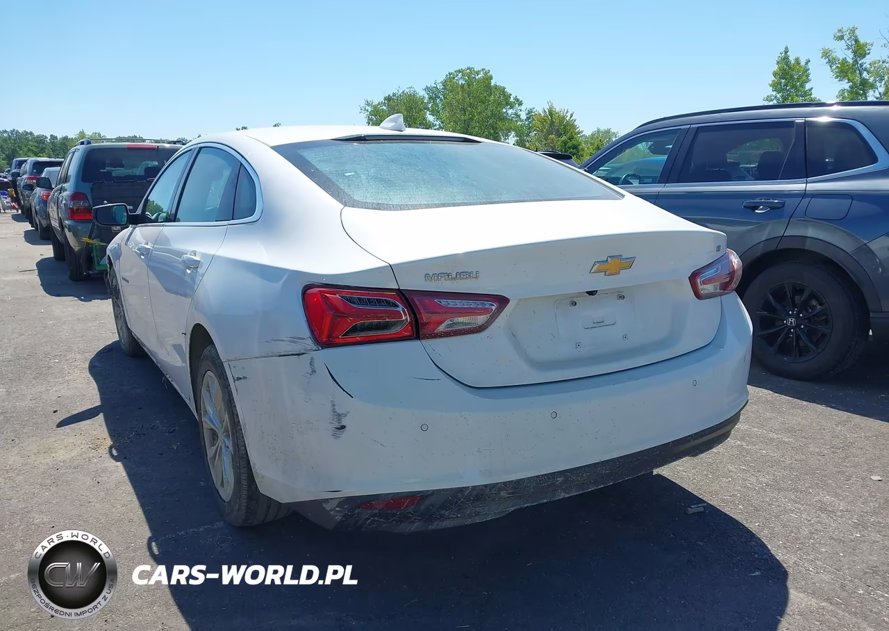 2019 Chevrolet Malibu Lt VIN:1G1ZD5ST8KF178795 - 3