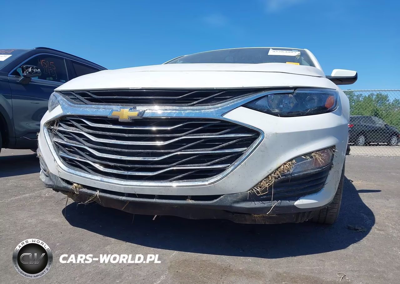 2019 Chevrolet Malibu Lt VIN:1G1ZD5ST8KF178795 - 6