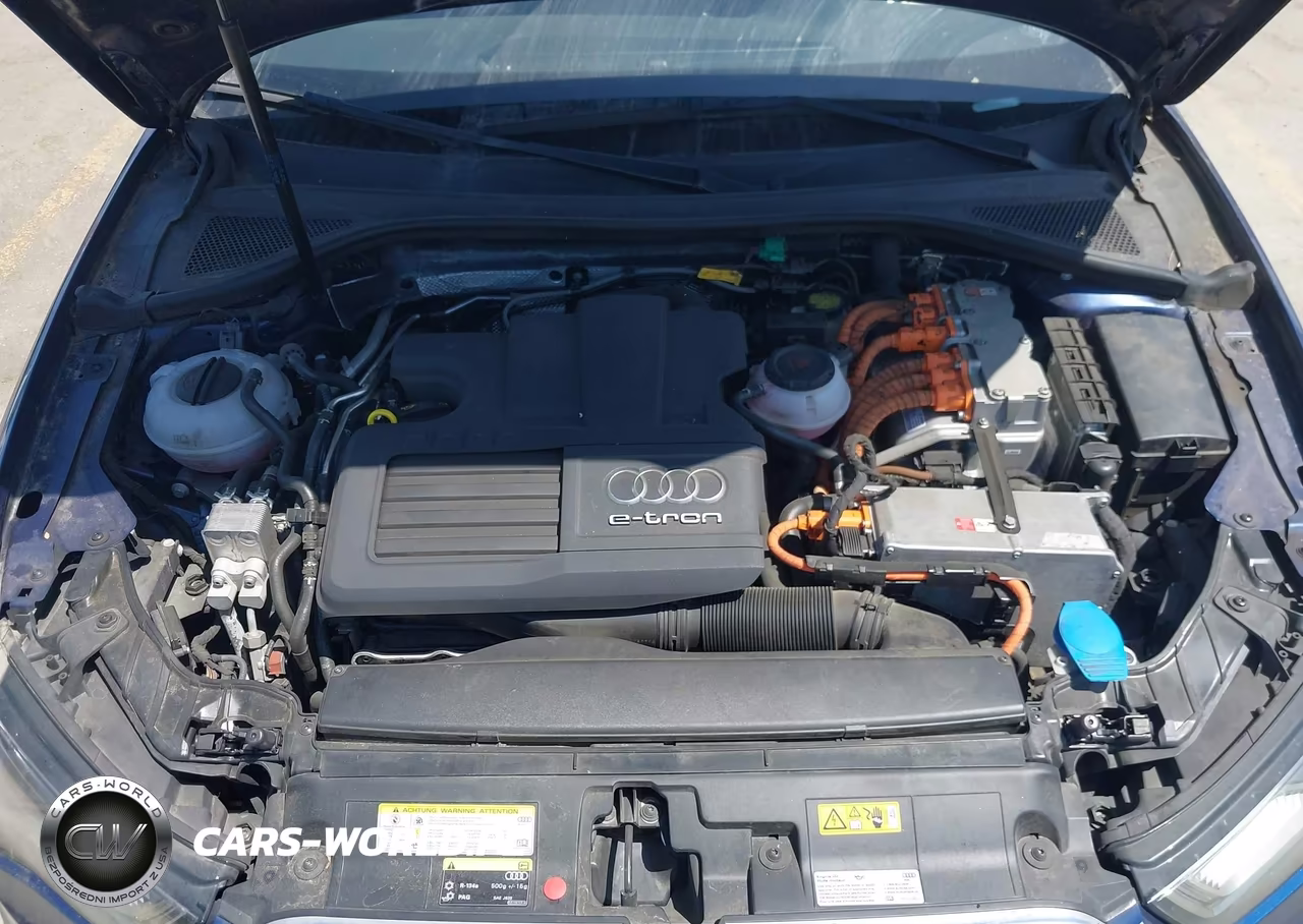 2016 Audi A3 E-Tron 1.4T Premium VIN:WAUTPBFF0GA034022 - 10