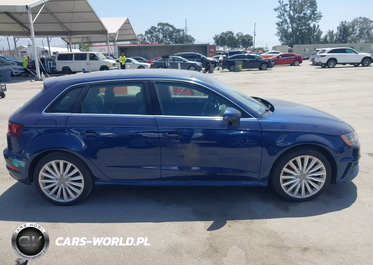 2016 Audi A3 E-Tron 1.4T Premium VIN:WAUTPBFF0GA034022 - 13