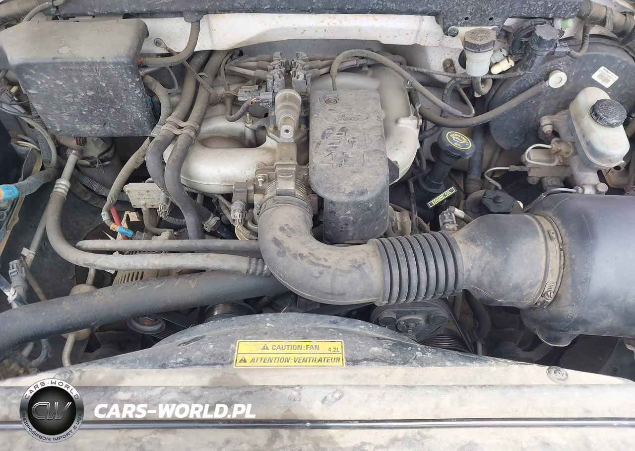 1997 Ford F-150 Standard-Xl-Xlt VIN:1FTDF172XVKC33201 - 10