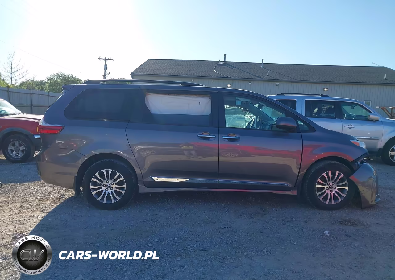 2019 Toyota Sienna Xle 8 Passenger VIN:5TDYZ3DC1KS987237 - 13