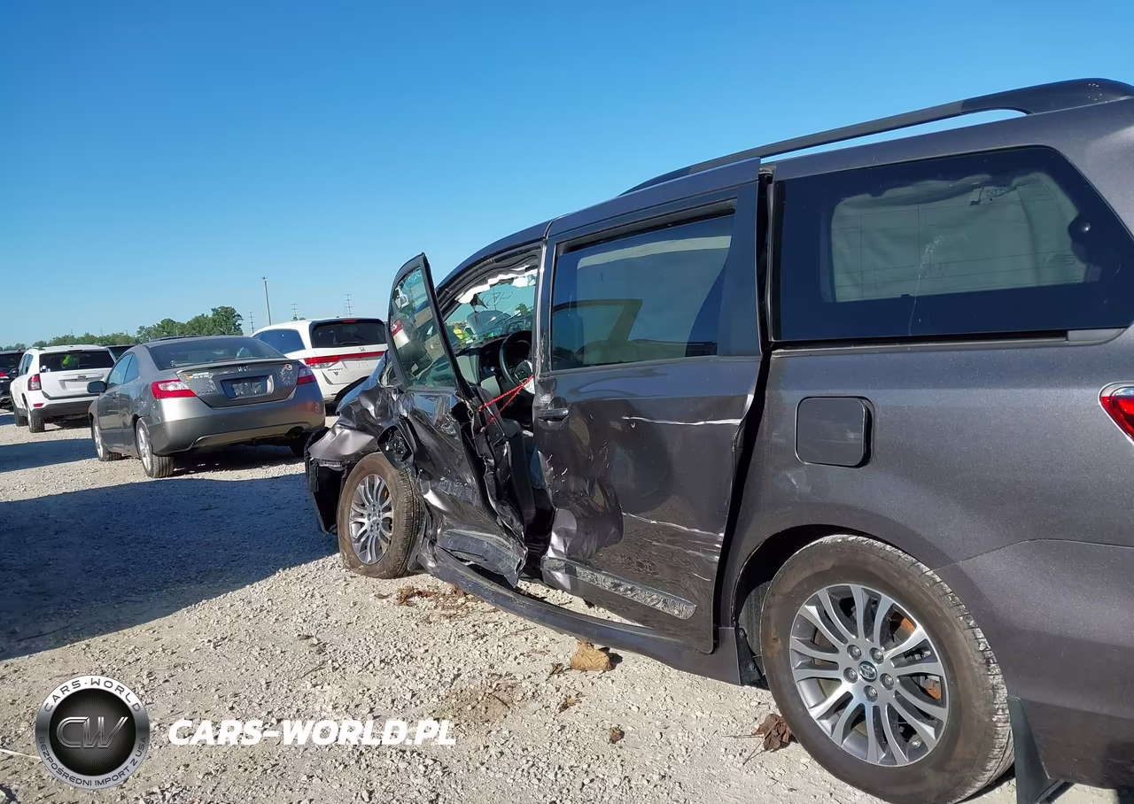 2019 Toyota Sienna Xle 8 Passenger VIN:5TDYZ3DC1KS987237 - 17