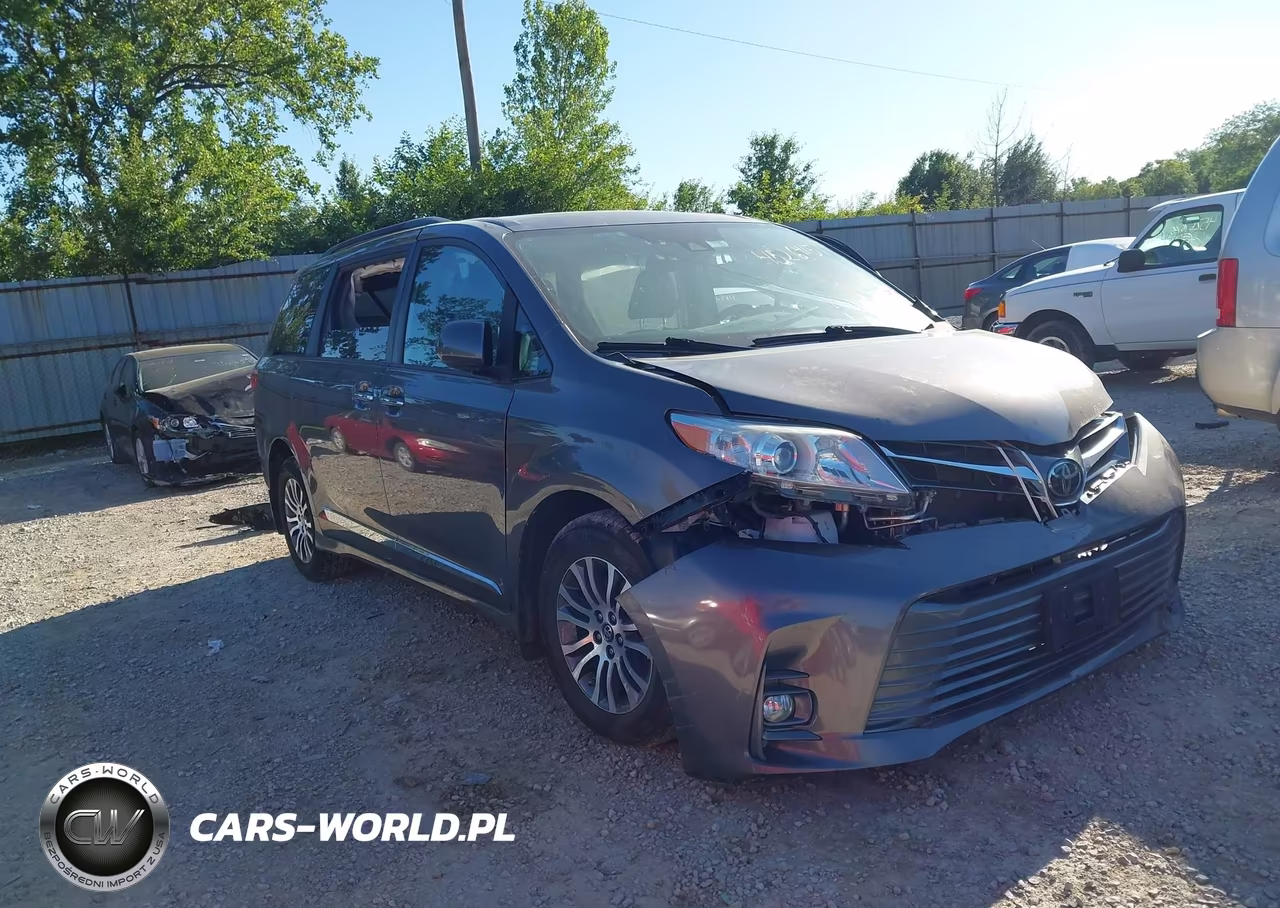 2019 Toyota Sienna Xle 8 Passenger VIN:5TDYZ3DC1KS987237 - 18