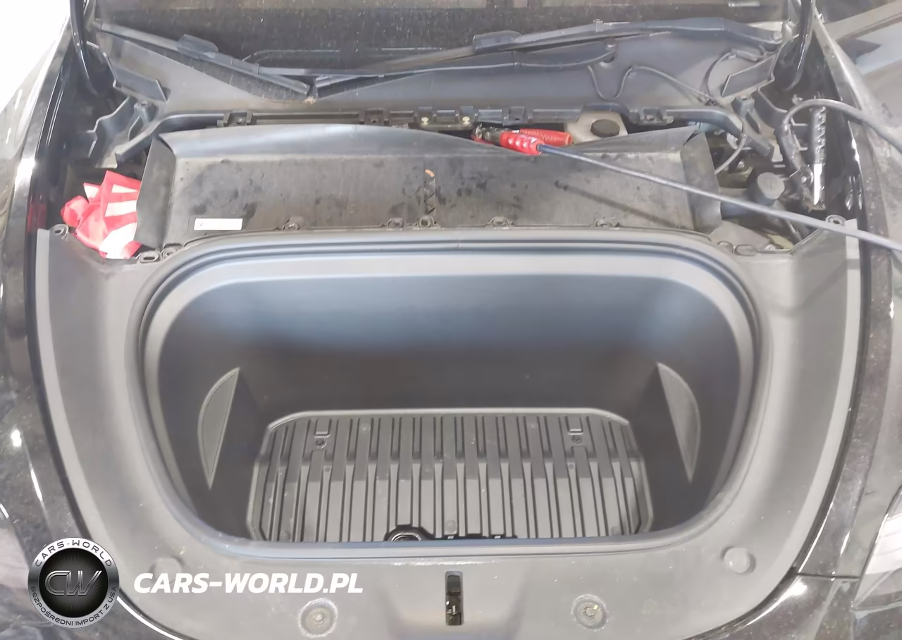 2023 Tesla Model Y VIN:7SAYGDEE8PA105570 - 10