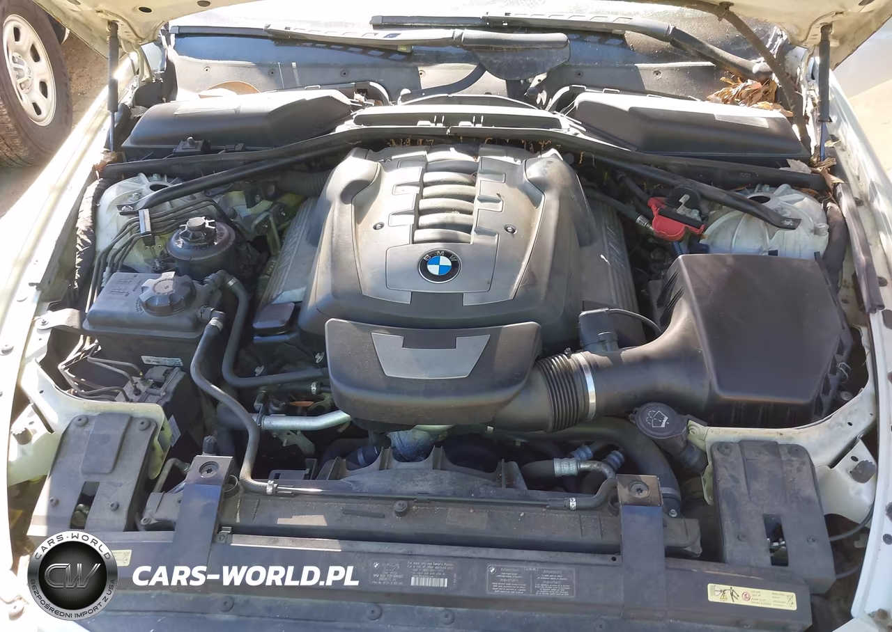 2006 BMW 650I VIN:WBAEK134X6CN77160 - 10