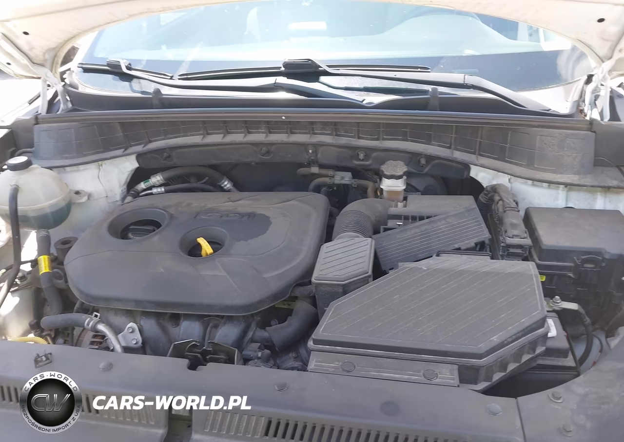 2019 Hyundai Tucson Se VIN:KM8J2CA48KU925344 - 10