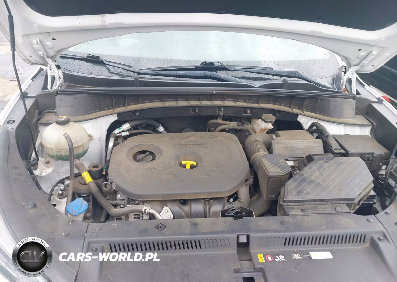 2019 Hyundai Tucson Value VIN:KM8J3CA41KU966248 - 10