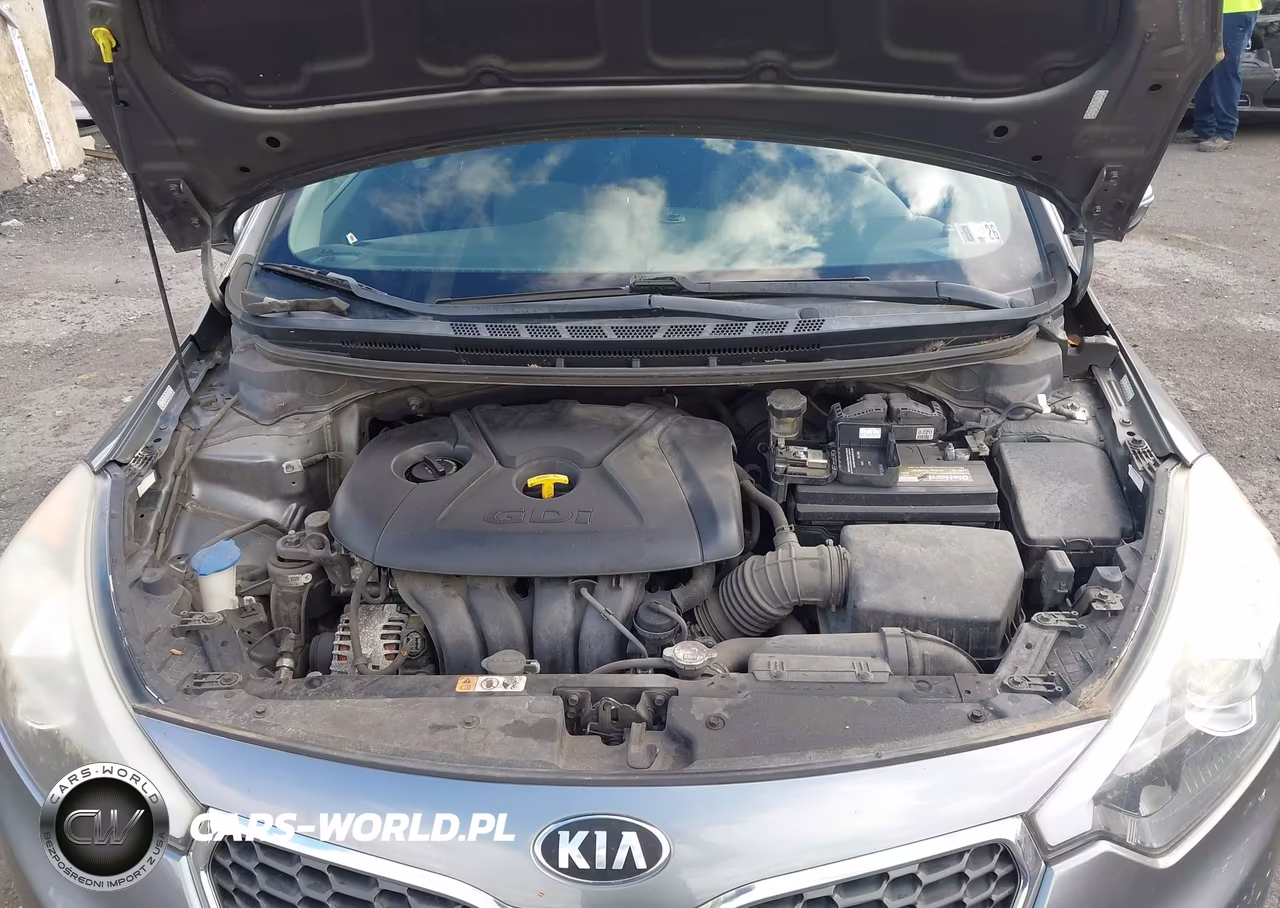2016 Kia Forte Lx VIN:KNAFK5A84G5594060 - 10