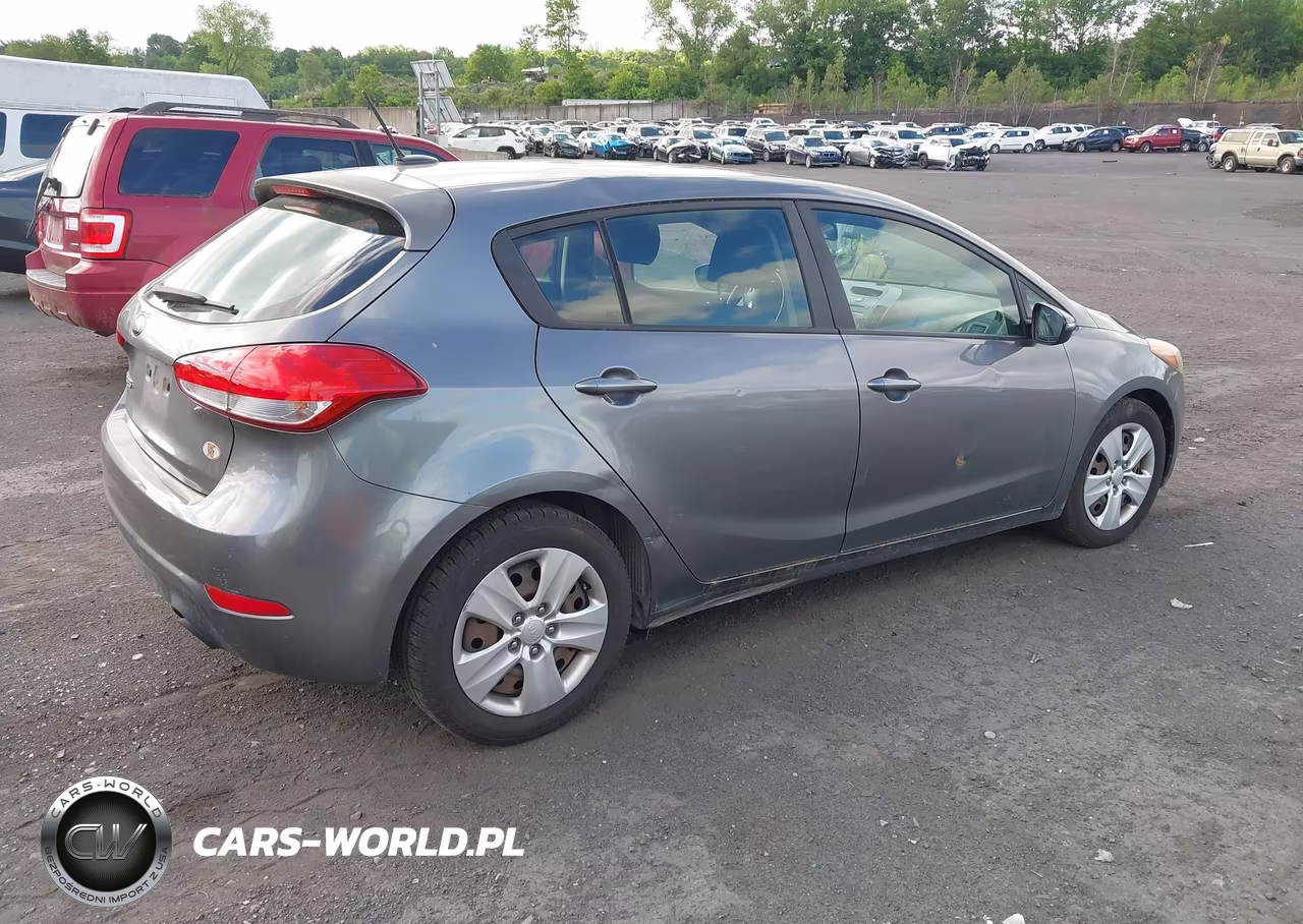 2016 Kia Forte Lx VIN:KNAFK5A84G5594060 - 4