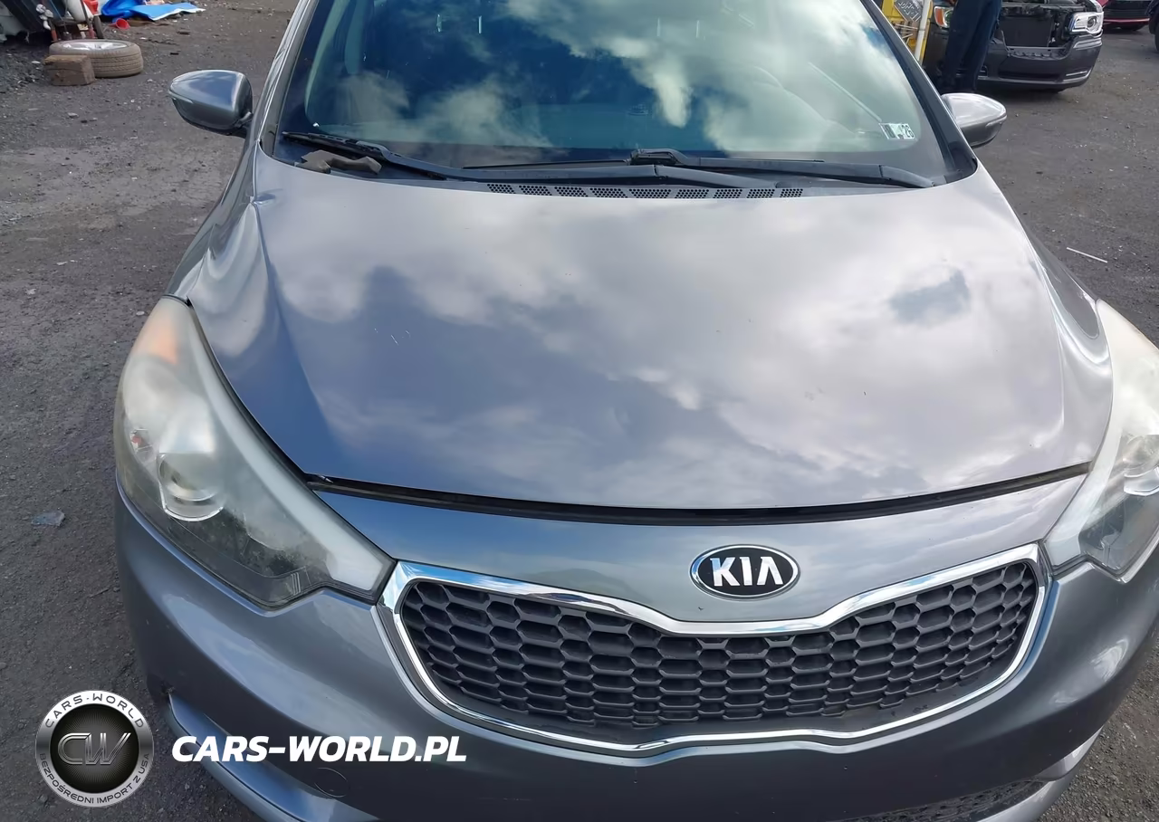 2016 Kia Forte Lx VIN:KNAFK5A84G5594060 - 6