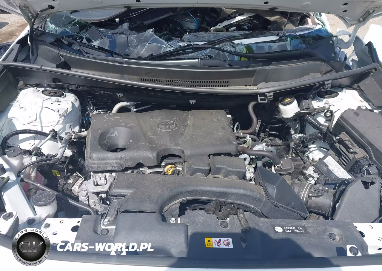 2024 Toyota Rav4 Xle VIN:2T3W1RFV2RW318483 - 10