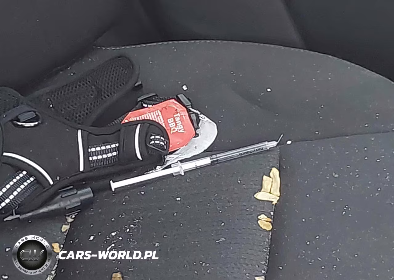 2024 Nissan Altima Sv Fwd VIN:1N4BL4DV2RN412598 - 12
