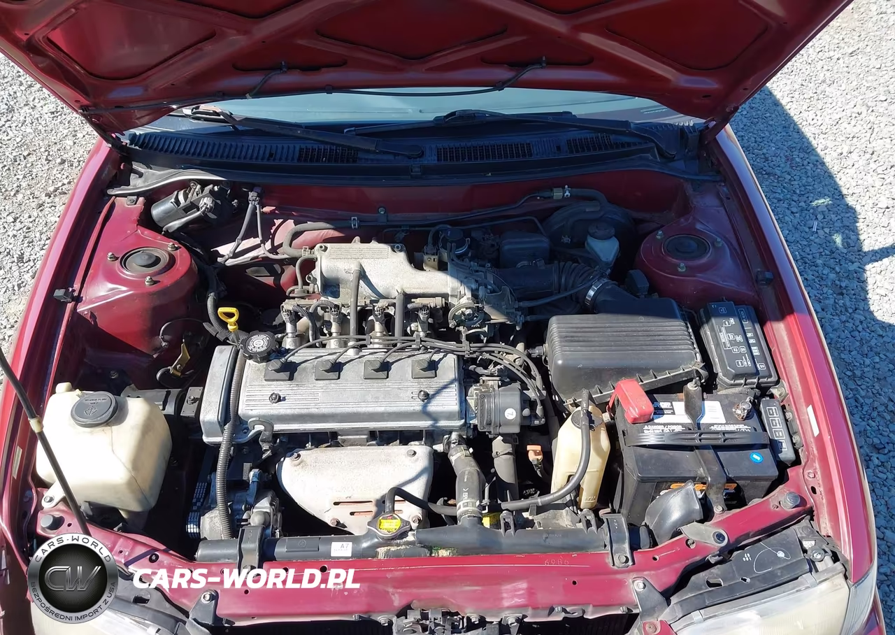 1997 Toyota Corolla Std VIN:1NXBA02E5VZ625097 - 10
